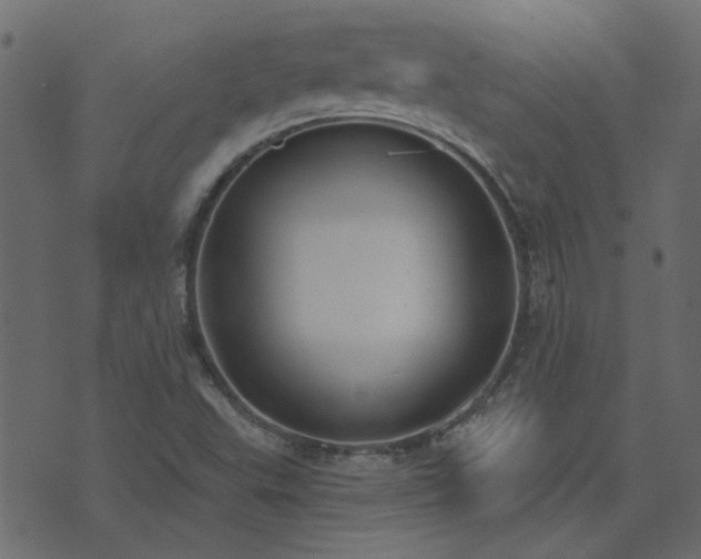 X0000074321503200608251247