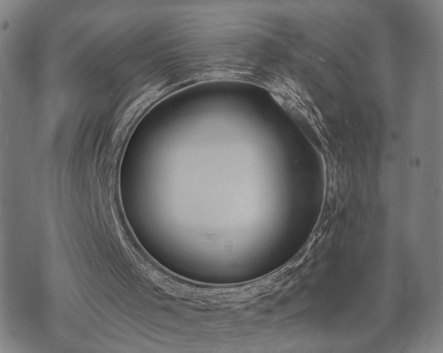 X0000074320001200609011549