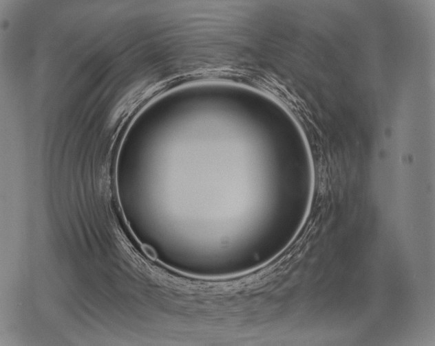 X0000074320002200609011549