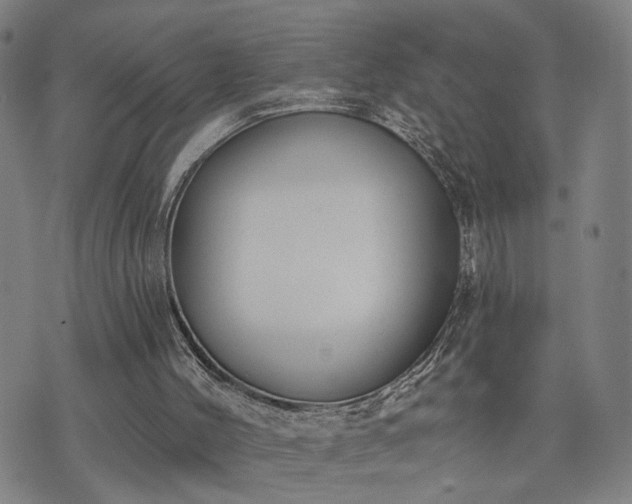 X0000074320004200609011549