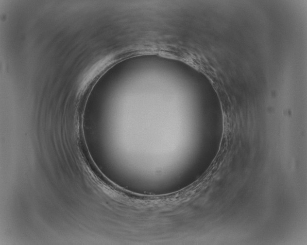 X0000074320005200609011549