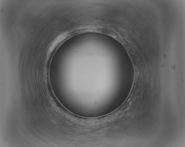 X0000074320006200609011549