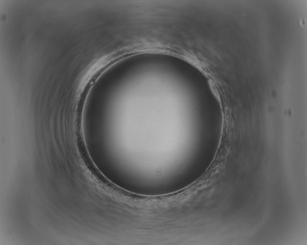 X0000074320007200609011549