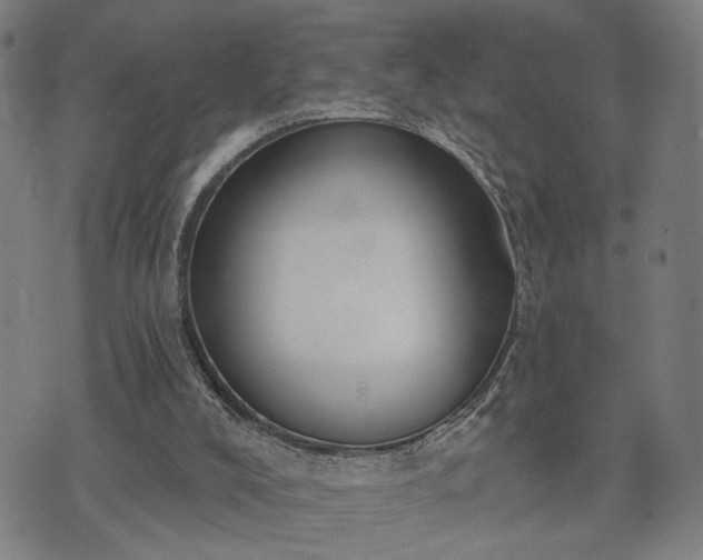 X0000074320008200609011549