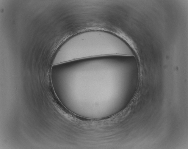 X0000074320009200609011549