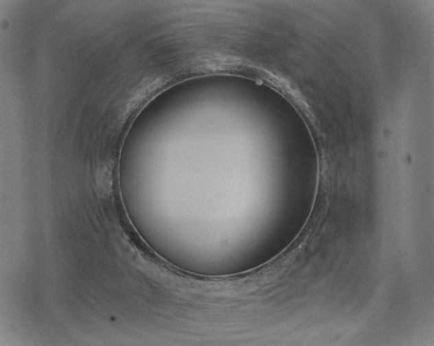 X0000074320010200609011549