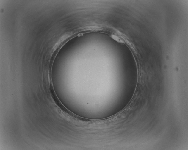 X0000074320011200609011549