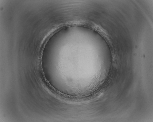 X0000074320012200609011549