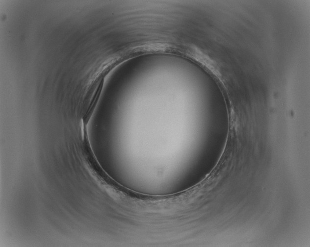 X0000074320013200609011549