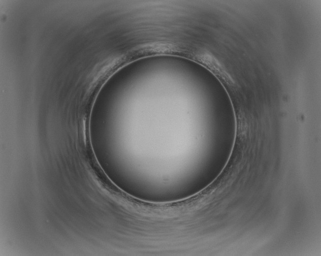 X0000074320014200609011549