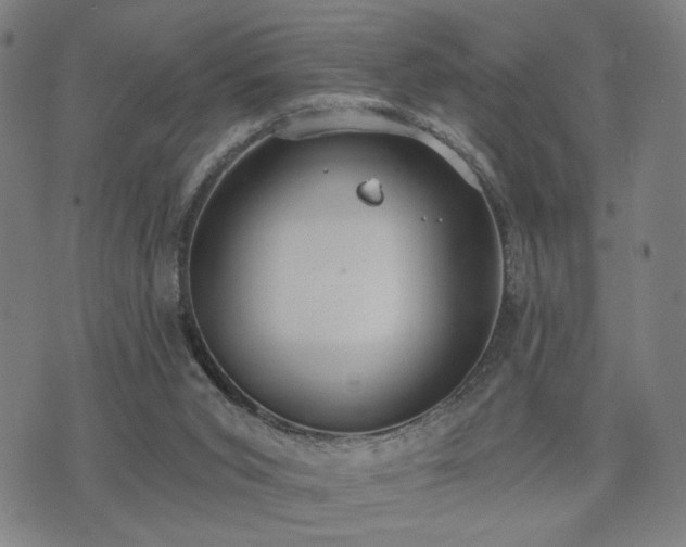 X0000074320015200609011549