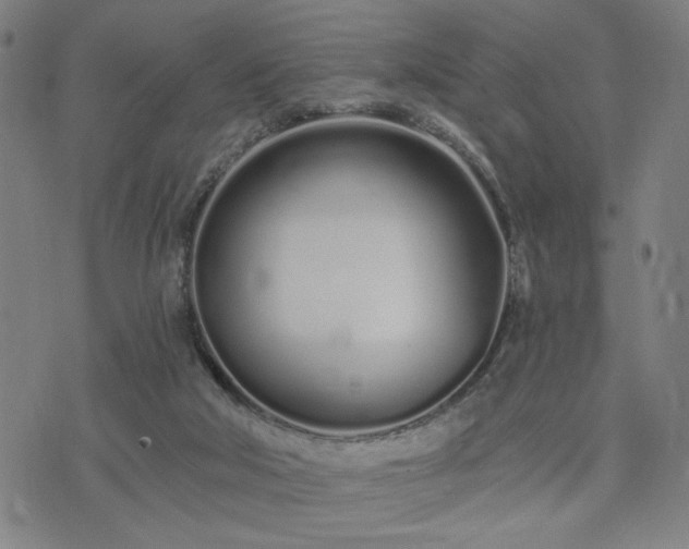 X0000074320018200609011549