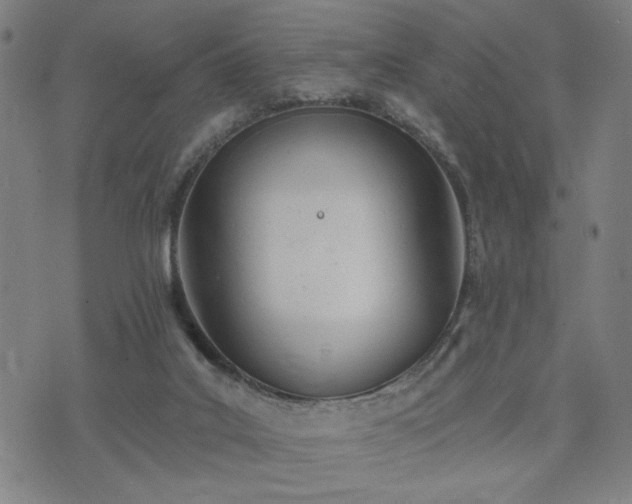 X0000074320019200609011549