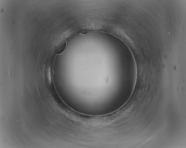 X0000074320020200609011549