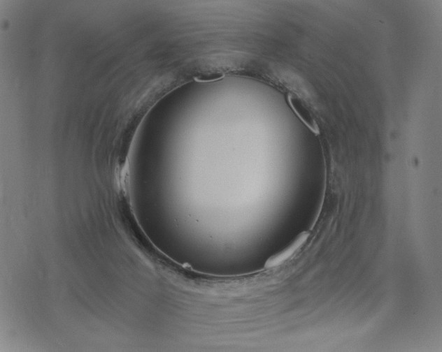 X0000074320021200609011549