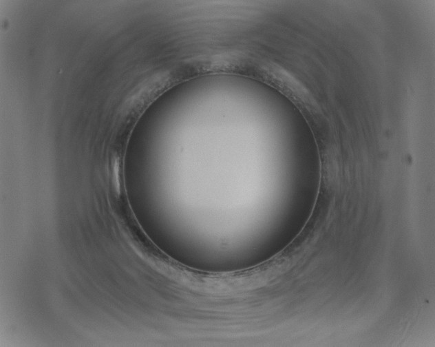 X0000074320022200609011549