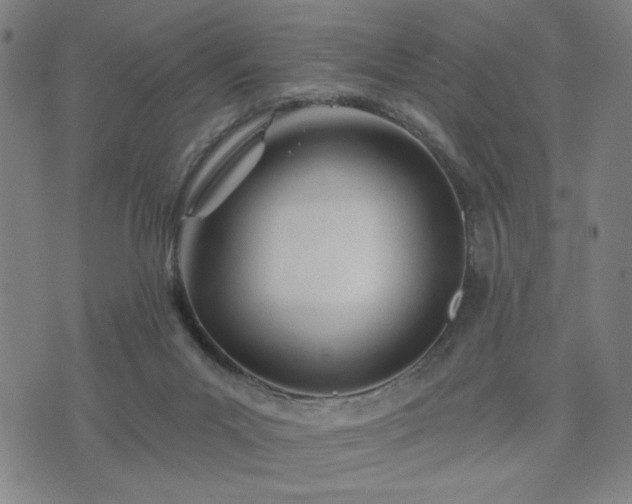 X0000074320023200609011549