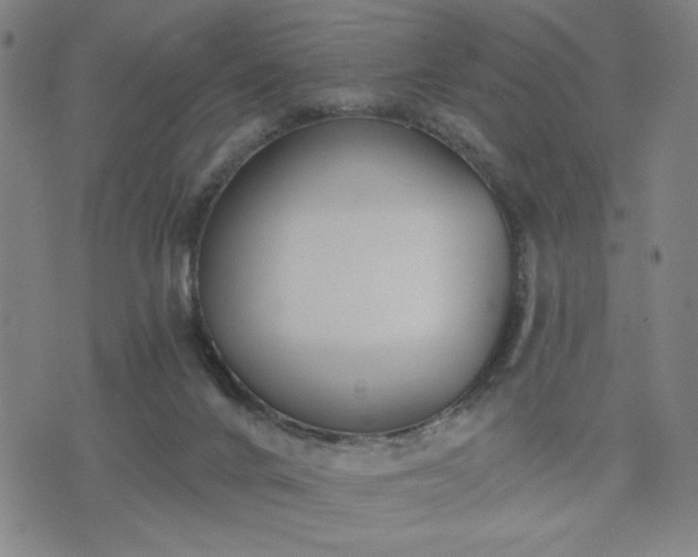 X0000074320024200609011549