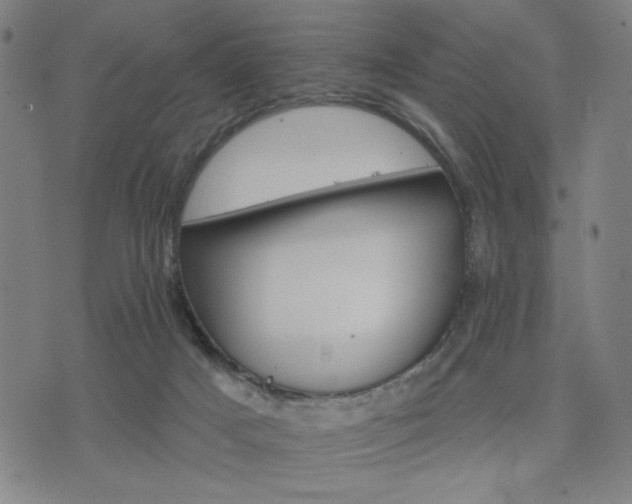 X0000074320025200609011549