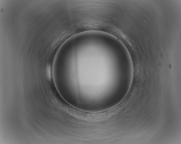 X0000074320027200609011549