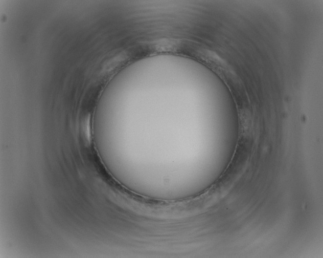 X0000074320028200609011549