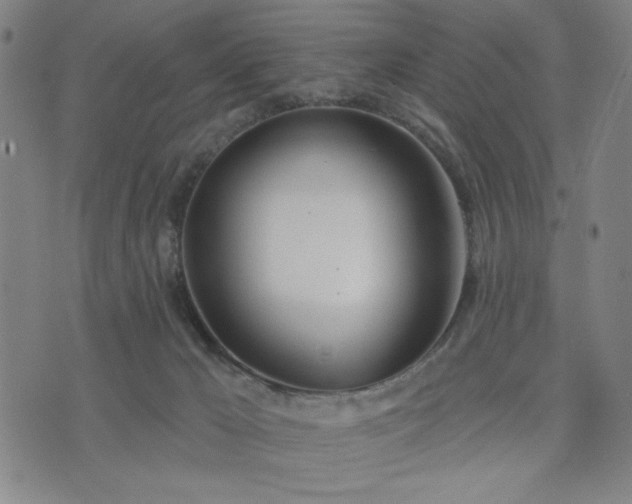 X0000074320029200609011549