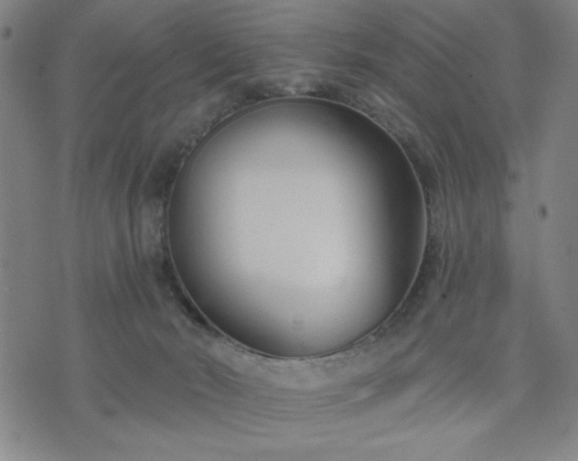 X0000074320030200609011549