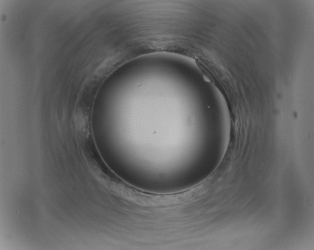 X0000074320031200609011549