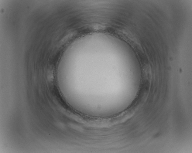 X0000074320032200609011549