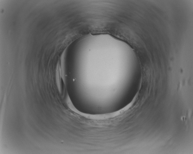 X0000074320033200609011549