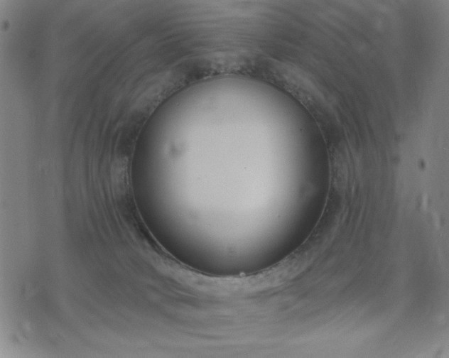 X0000074320034200609011549