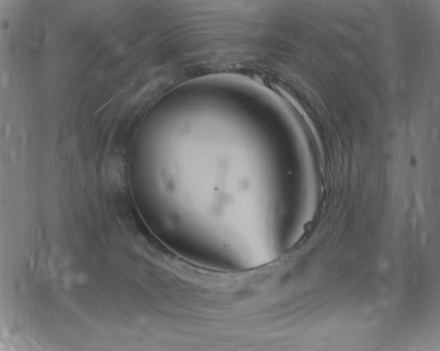 X0000074320035200609011549