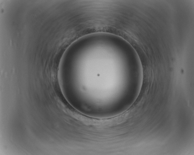 X0000074320039200609011549