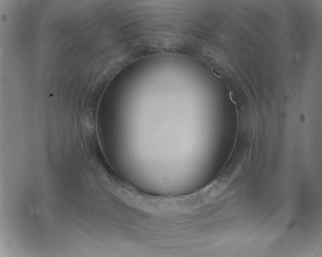 X0000074320040200609011548