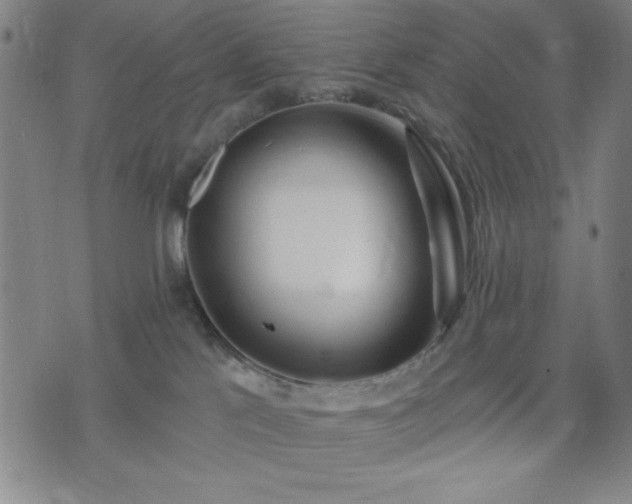 X0000074320041200609011548