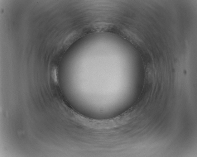 X0000074320042200609011548