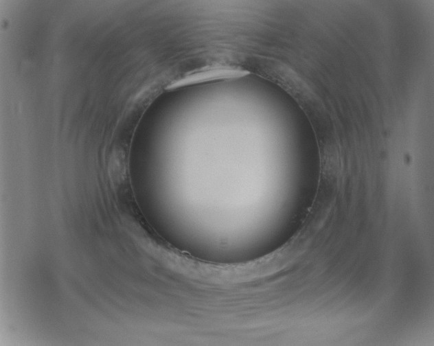 X0000074320043200609011548