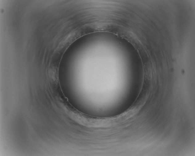 X0000074320044200609011548