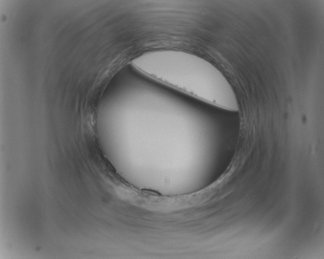 X0000074320045200609011548