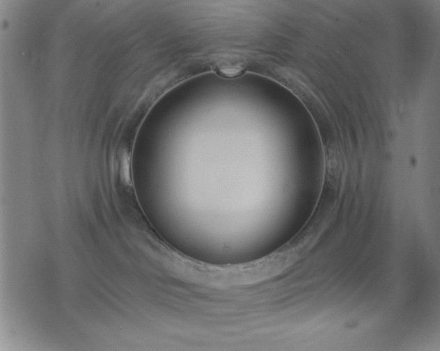 X0000074320046200609011548