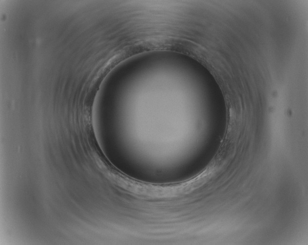 X0000074320048200609011548