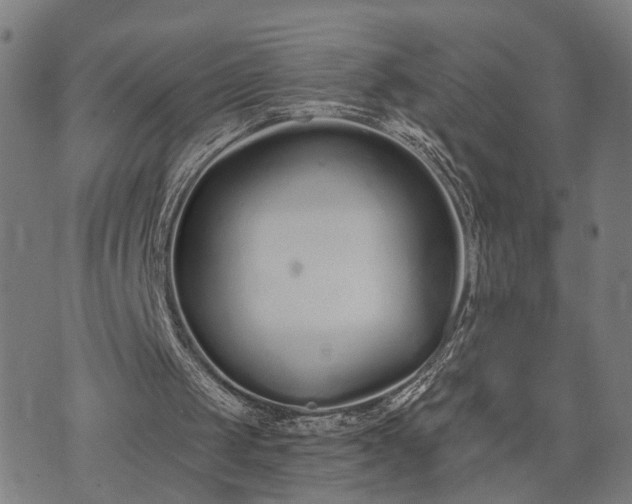 X0000074320049200609011548