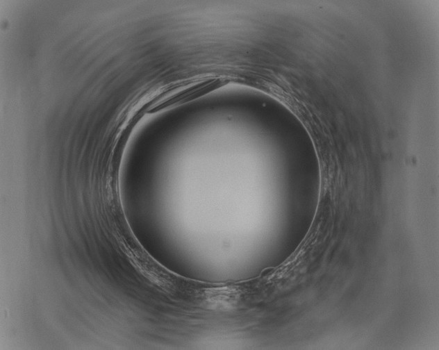 X0000074320050200609011548