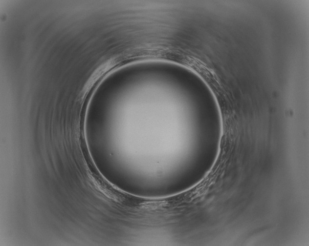 X0000074320051200609011548