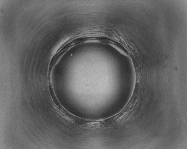 X0000074320052200609011548