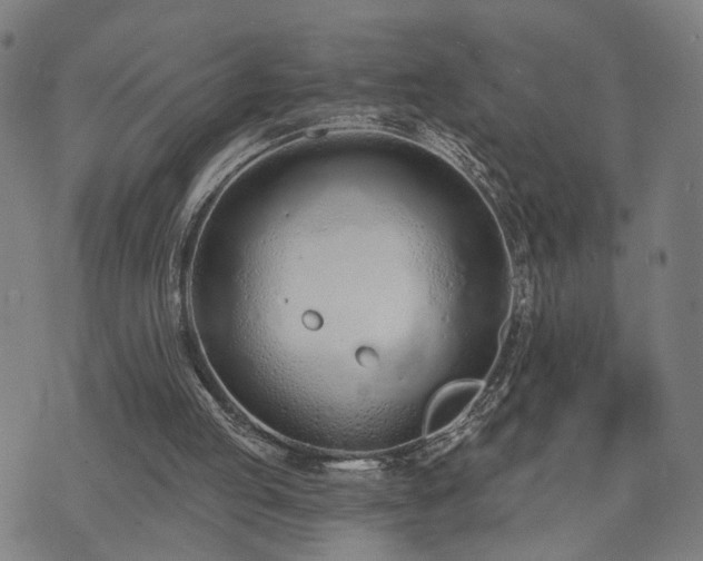 X0000074320053200609011548