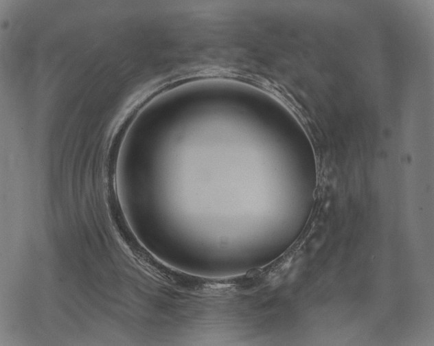 X0000074320055200609011548