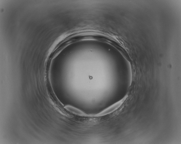 X0000074320056200609011548