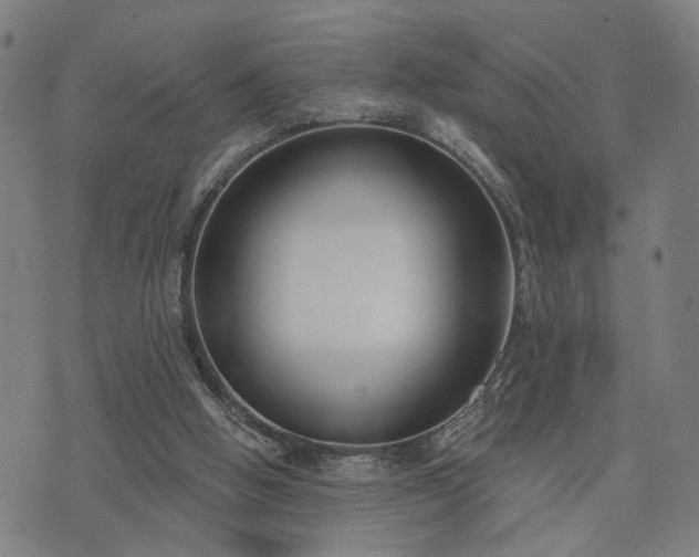 X0000074320058200609011548