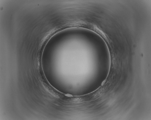 X0000074320059200609011548